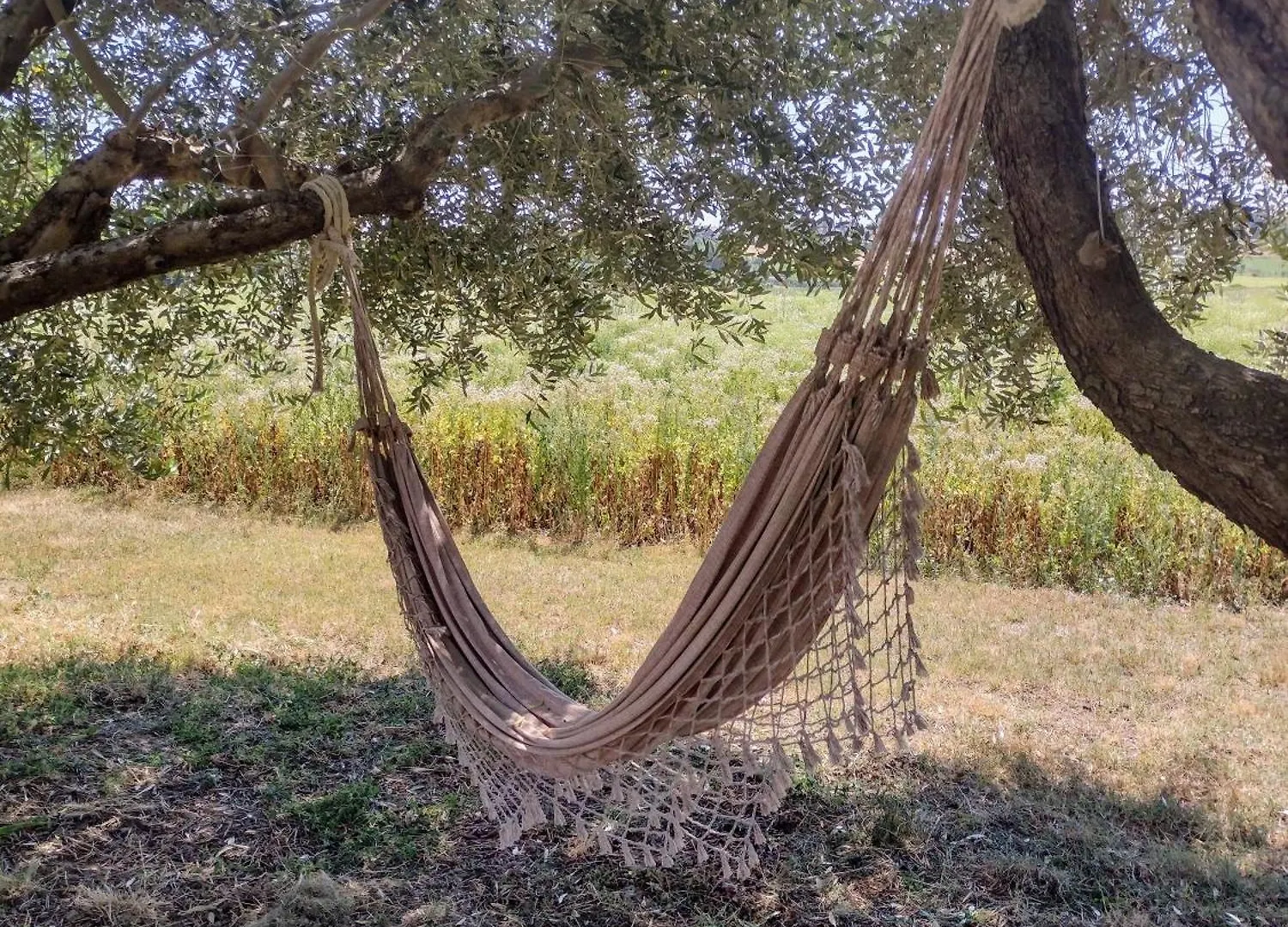 Country Rooms & Suite La Quercia Coriano
