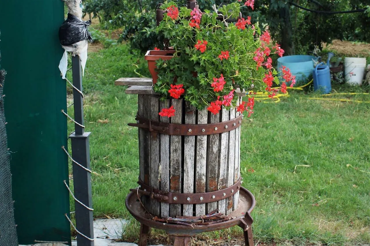 Country Rooms & Suite La Quercia Coriano 0*,